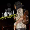 About Pampara Song