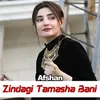 About Zindagi Tamasha Bani Song