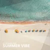 About Summer Vibe Song