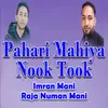 Pahari Mahiya Nook Took