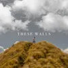 About These Walls Song