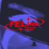 About Felina Song