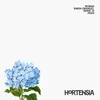 About Hortensia Song