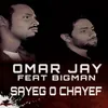 About Sayeg O Chayef Song