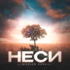 About Неси Song