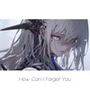 How Can I Forget You
