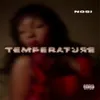 About TEMPERATURE Song