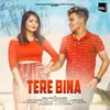 Tere Bina