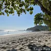 Birds of Costa Rica