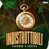 About Indistruttibili (prod. Mene) Song