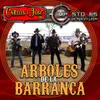 About Árboles de la Barranca Song