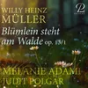 2 Lieder, Op. 13: No. 1, Blümlein steht am Walde