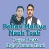 About Pahari Mahiya Nook Took Song