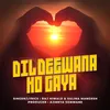 About Dil Deewana Ho Gaya Song