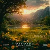 Zanzare