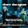 About Choro das Aguas Song