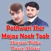 About Pothwari Sher Majaz Nook Took Song