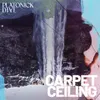 Carpet Ceiling