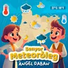 About Senyor meteoròleg Song