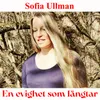 About En Evighet Som Längtar Song