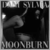 About Moonburn (3am) Song