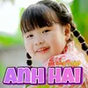 About Anh Hai Song