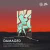 About Damaged Song