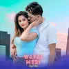 About Wafai Meri Song