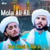 About Mola Ali Ali Song