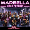 About Hola Perdida Song