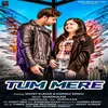 About Tum Mere Song
