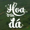 Hoa Trên Đá