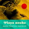 About Playa Noche Song