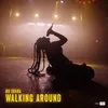 About Walking Around Song