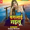 About Pagalai Gailu Song