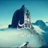 About مالك الملك Song