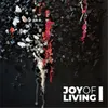 About Joy of Living Song