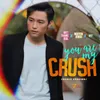 About You Are My Crush Song