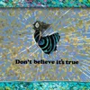 About Don't Believe It's True Song