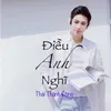 About Điều Anh Nghĩ Song