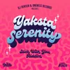 About Serenity (Stick With You Riddim) Song