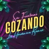 About Gozando Song