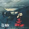 About I Won't Let You Down Song