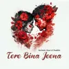 About Tere Bina Jeena Song