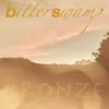 About Bronze Song
