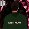 About Say It Now Song