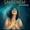 About Anladım Song