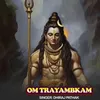 About Om Trayambkam Song