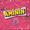About Aminin Song