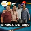 About Sinuca de Bico Song